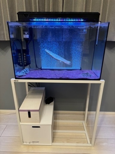 水槽600    水槽台　上部濾過装置　LED照明　5点セット