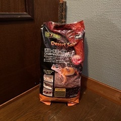 爬虫類　トカゲ　ヤモリ　飼育用の砂