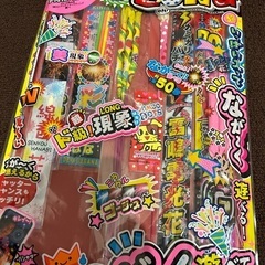 花火✨開封済、数本使用