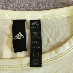 アディダス　スポーツ　Ｔシャツ　薄いグリーンＬサイズ　レディースの画像