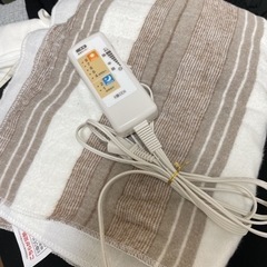 10月末処分！ 電気毛布 毛羽立ち有り 正常稼働