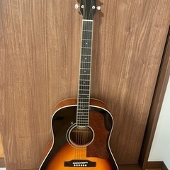 アコースティックギター　LJ250VS LUMBER