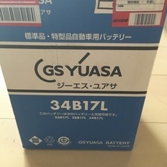 GSユアサ HJ-34B17L [ HJ ・H ] 国産車バッテ...
