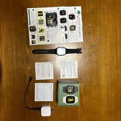 ゴルフ距離計( THEGOLFWATCHNORM II)