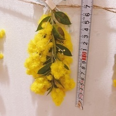 ナチュラル雑貨　ミモザのガーランド飾り①の画像
