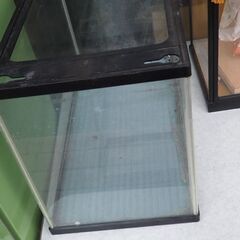 水槽、めだかなどにも