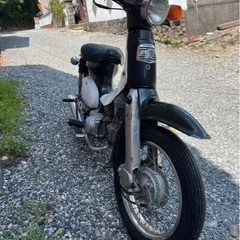 リトルカブ