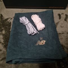 ニューバランス 860v2 Aime Leon Dore Greenの画像