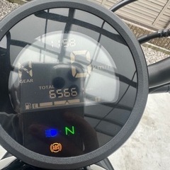 レブル250  2021年モデルの画像