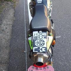 【売ります】カスタムてんこ盛り！KSR110　の画像