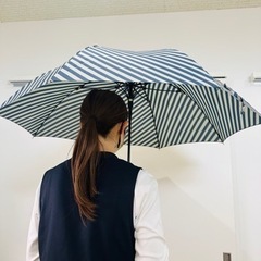ボーダー柄　傘の画像