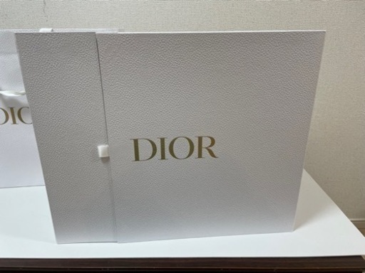 dior ダウンベスト