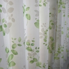 カーテン　差し上げますの画像