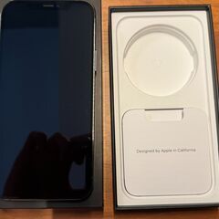 香港版 iPhone 12 Pro 256GB グラファイト S...