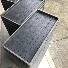 無料でお譲りします♪育苗箱(水稲稚苗用)の画像