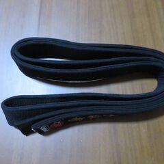 少林寺拳法　黒帯３号の画像