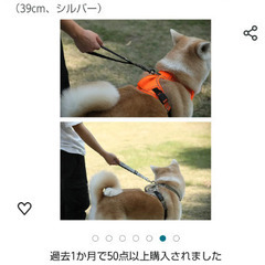 ペット用ショートリードの画像