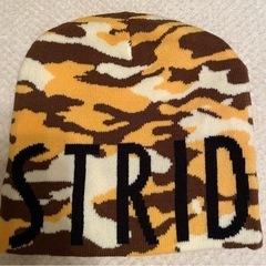 frost Bite Run ビーニー(Tiger Camo)の画像