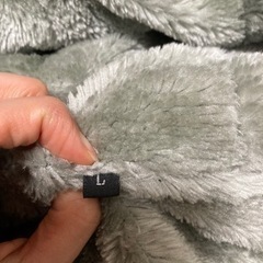 裏起毛フード付きジャンパーサイズLの画像