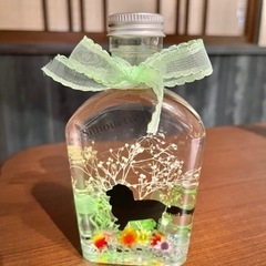 デザイナーズハーバリウムペットの画像