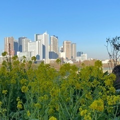 ファンラン仲間募集　丸子橋、ガス橋、大田区、川崎市