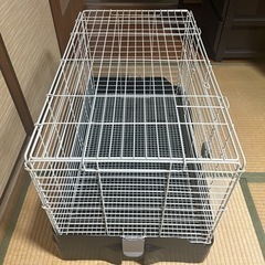①【お値下可能】小動物ゲージ 三晃商会 SANKO  イージーホーム エボ 80 ブラックの画像