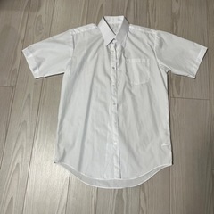【未使用】シャツ半袖　ホワイト
の画像