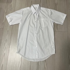 【未使用】シャツ半袖　ホワイト
の画像