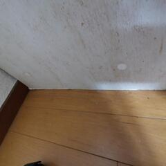 小型食器棚(ニトリ)の画像