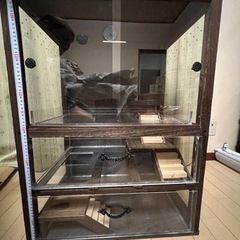 小動物用家具調ゲージ