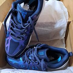 ポールワーズランニングシューズ25,5センチの画像