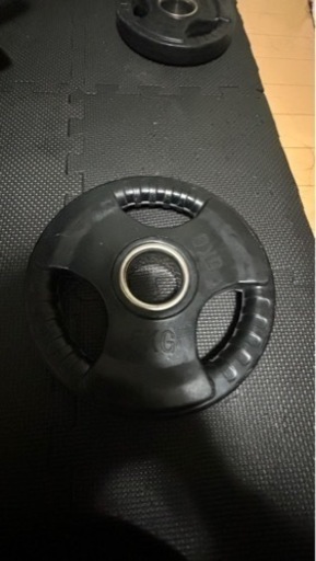 プレート系径50mm用147.5キロセット(取引中)