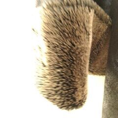 【JOSEPH ABBOUD】コートの画像