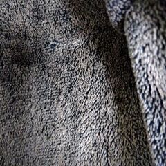 【JOSEPH ABBOUD】コートの画像