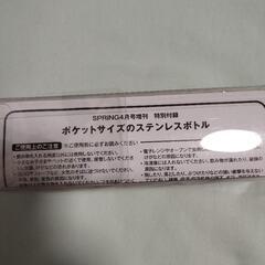 新品　スプリング　付録　ステンレスボトルの画像