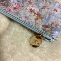 JILL STUART の画像