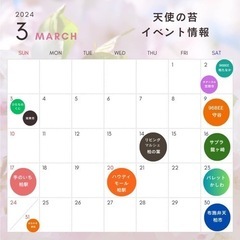 3月出店情報　苔テラリウム