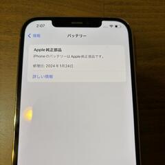 iPhone12ProMax