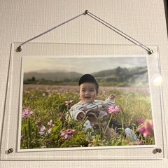 A4サイズの額縁、ガラスできれいに写真を写します