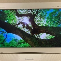 テレビ　17Ｖ型