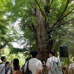 【明日】2/24 10:30神社(御朱印)めぐり⛩🐉 - メンバー募集