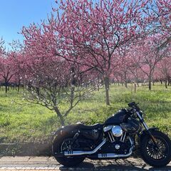 のんびり小人数がいいバイク友達募集（写真は拾い画） - 高崎市