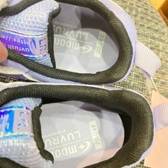 【新品、値下げ】ムーンスター ラブラッシュ 20cmの画像