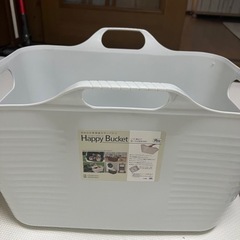 明日取りに来てくれる方限定！！洗濯カゴ