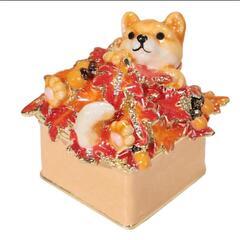 新品 柴犬 赤柴 ジュエリーケース 新品未開封シュリンク付き