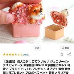 新品 柴犬 赤柴 ジュエリーケース 新品未開封シュリンク付きの画像