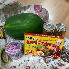 食品いろいろ〜まとめて350円〜