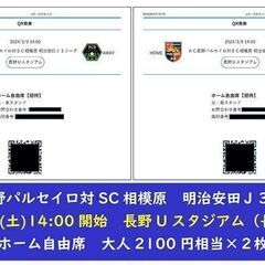 ■Ｊ３チケット２枚可AC長野パルセイロ対SC相模原3月9日(土)長野Uスタの画像