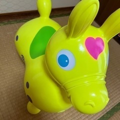 RODY LIMITEDカラーの画像