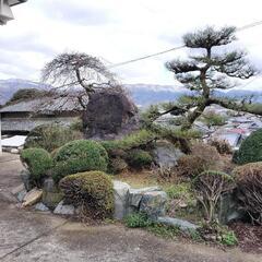 立派な庭石です。の画像